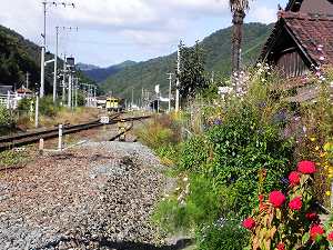 s-20111018 yamaguchi (09).jpg